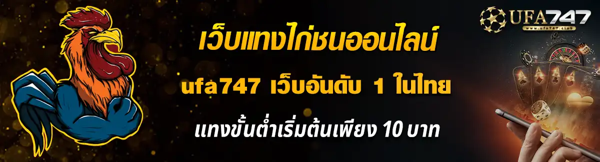 เว็บแทงไก่ชนออนไลน์ เว็บอันดับ 1 ในไทย